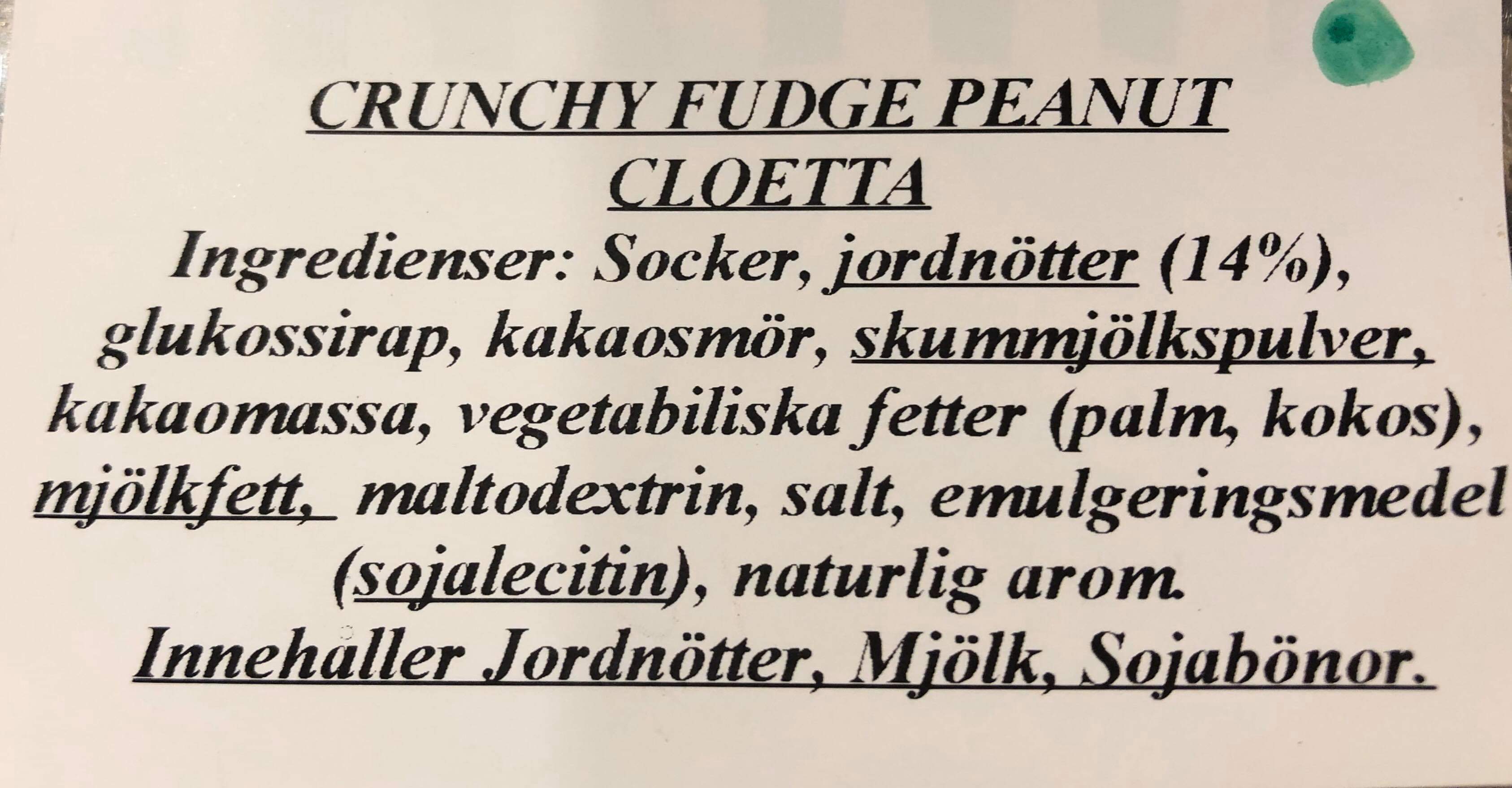 Crunchy fudge peanut